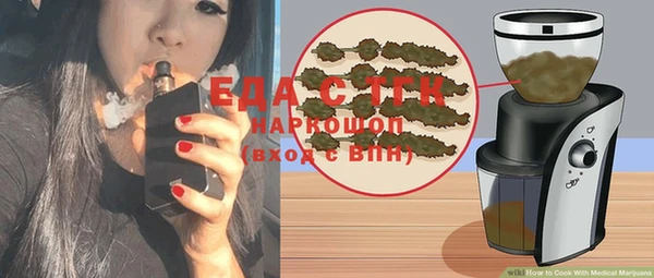 стаф Касимов