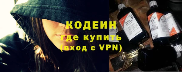стаф Касимов