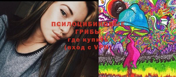 стаф Касимов