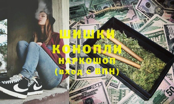 стаф Касимов