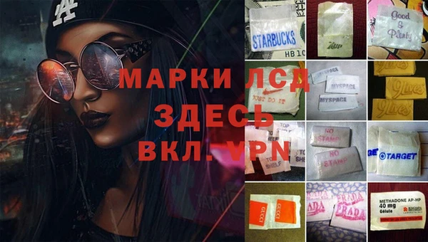 гашик Карталы