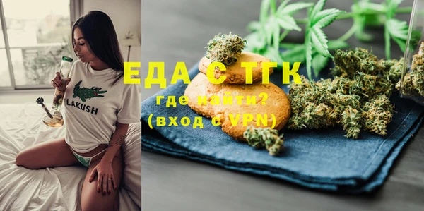стаф Касимов
