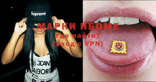 стаф Касимов