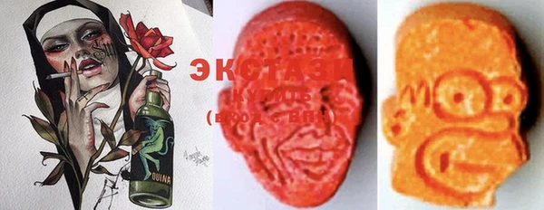 стаф Касимов