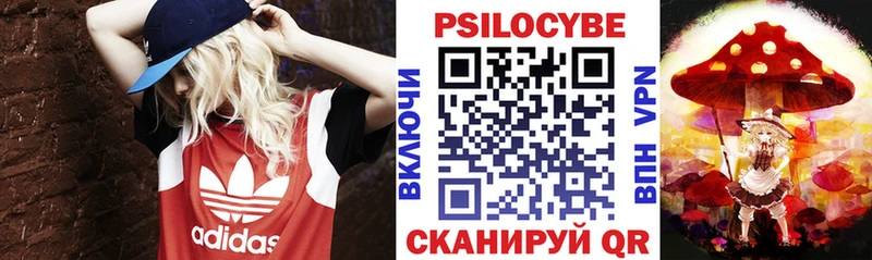 Купить закладки  Ростов-на-Дону  Псилоцибиновые грибы Psilocybe 